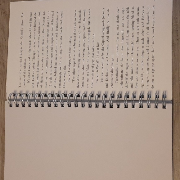 Secret Journal "Catching Fire" - Picture 4 of 6